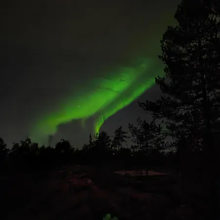 Apartament Pirkkanest *