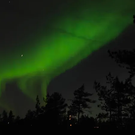 Pirkkanest Apartament *